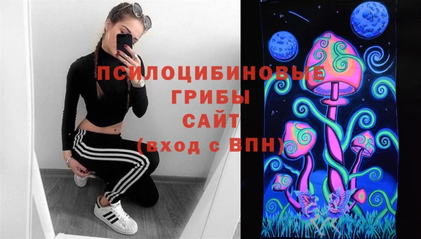 ПСИЛОЦИБИНОВЫЕ ГРИБЫ Алексеевка