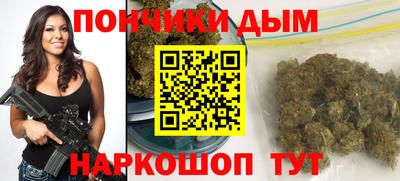 индика Брянск