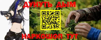 индика Брянск