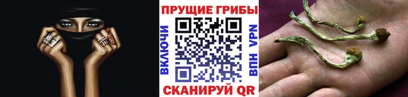 закладка  Карасук  МЕГА онион  Галлюциногенные грибы мухоморы 