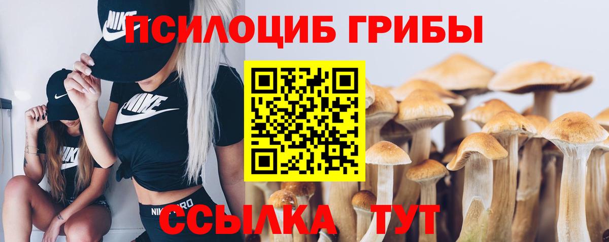 Псилоцибиновые грибы Cubensis Карасук
