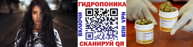 Канабис VHQ  продажа наркотиков  это наркотические препараты  Карасук 